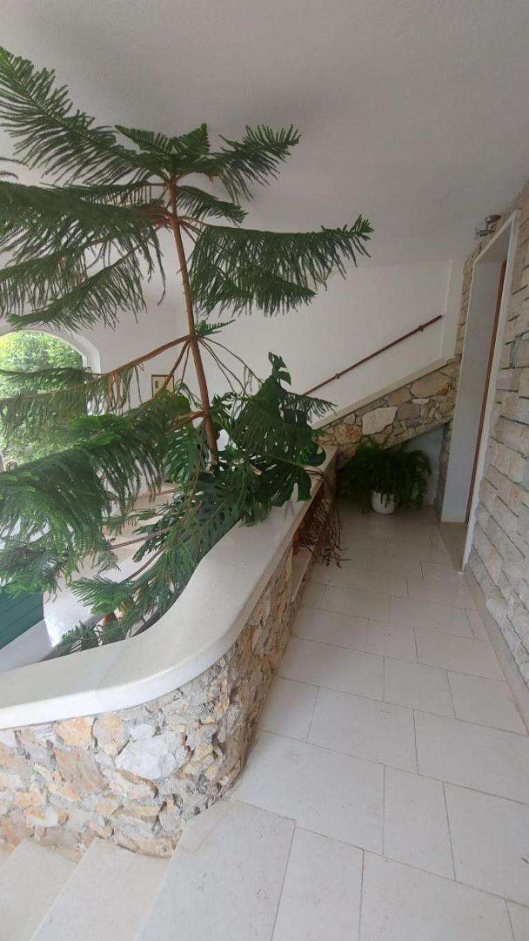 Apartment Brane Bol Exterior photo